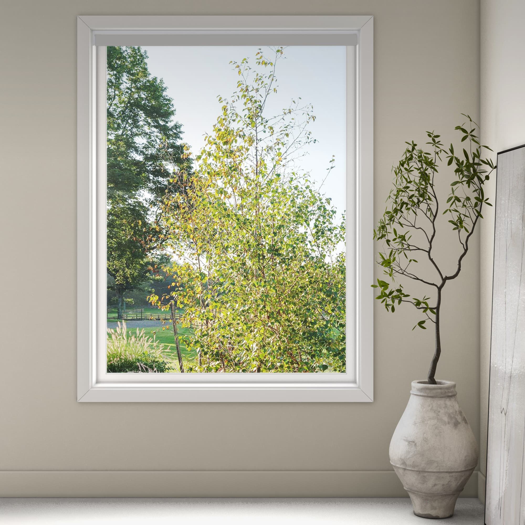 Verosol Originals 849 849000 Roller Blind