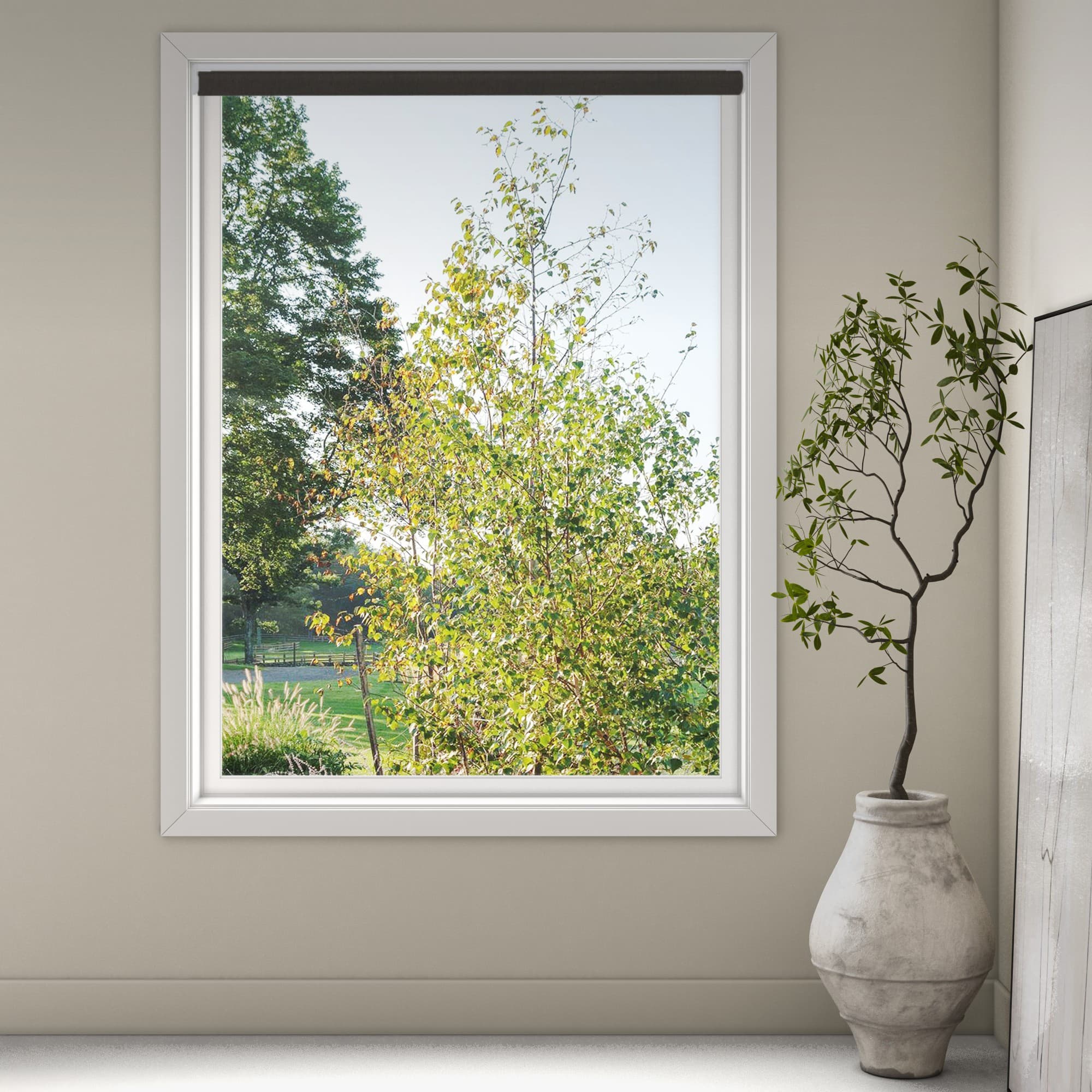Imperia 7487 Roller Blind