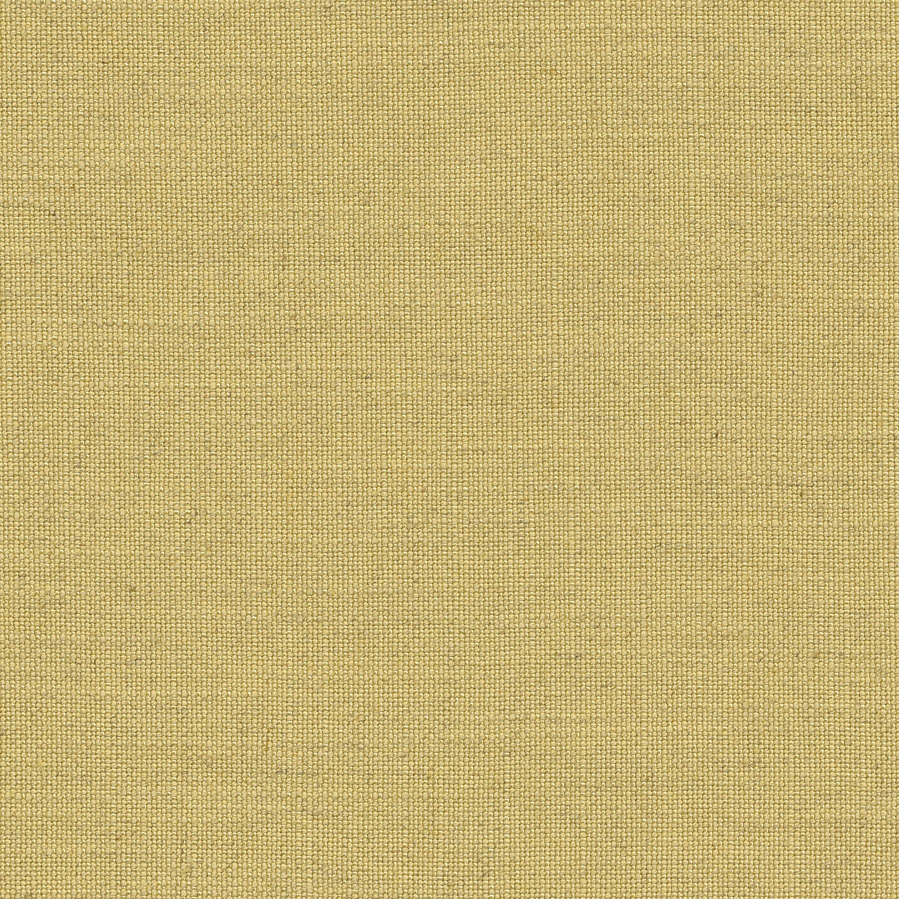 Schelp Schelp-01 Roman Blind