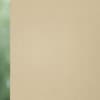Dense 7538 Roller Blind