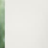 Elements 6803 Roller Blind