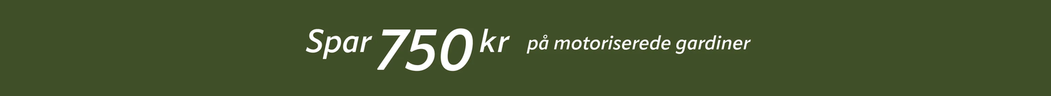 DK autumn NOCTA