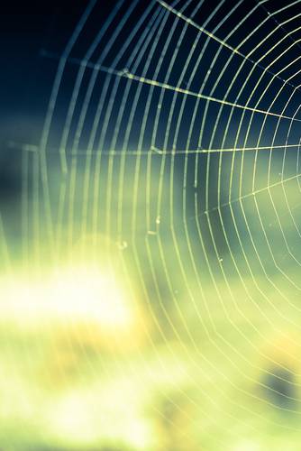 Blog: Inspiration
